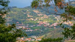 Encuentra vuelos baratos desde Guatemala $[,, preposition:'to ']$[,, article:'to ']$[,, place:'to']