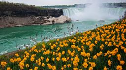 Directorio de hoteles en Niagara Falls
