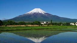 Alquileres vacacionales - Monte Fuji
