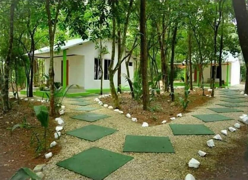 Vista del exterior Foto