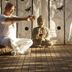 Otros